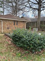 6109 Shadyside Ln, Texarkana, TX 75503
