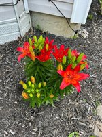 100 3rd Street, Bangor, ME 04401