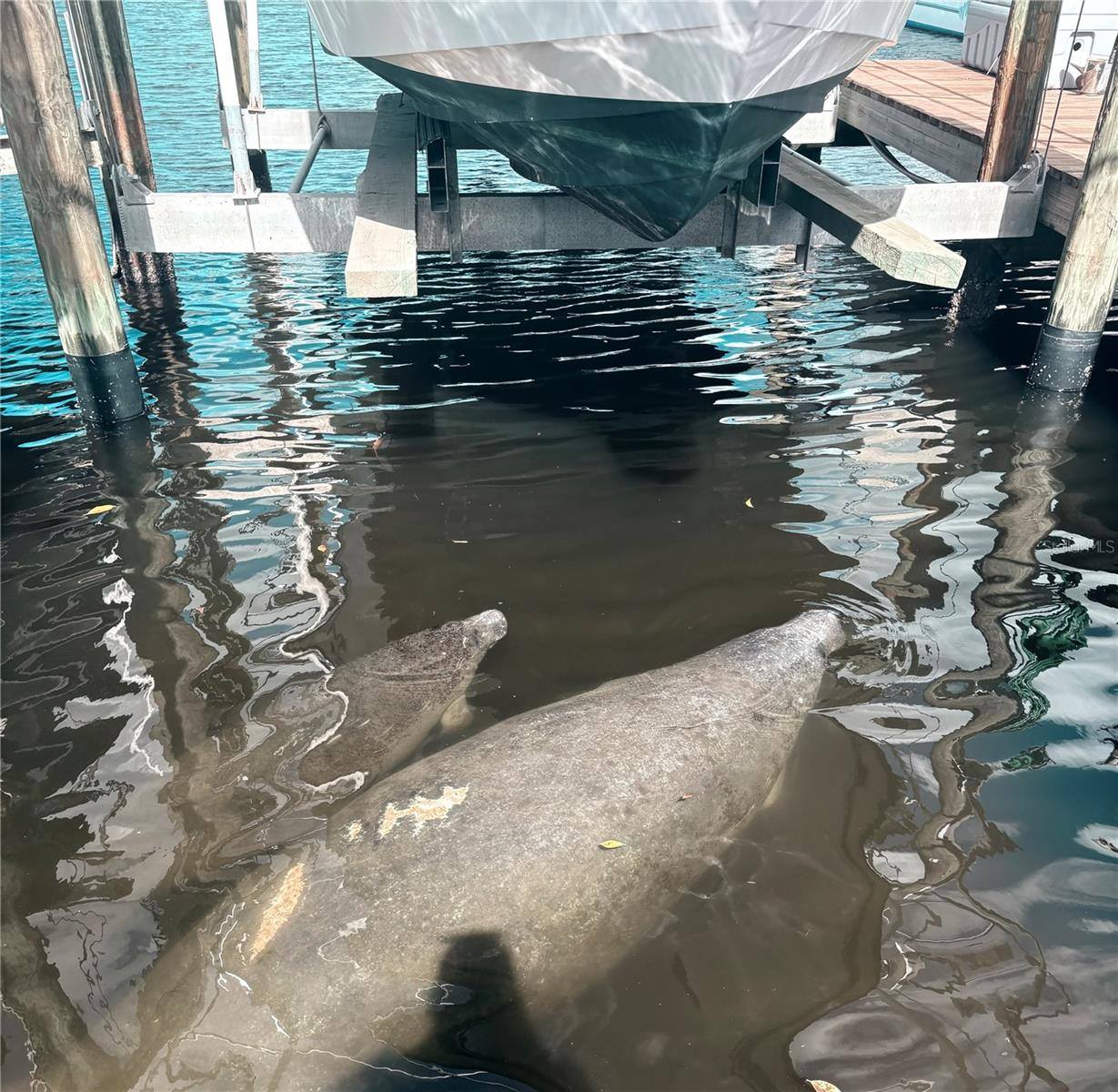 9612 Valencia Cove, Bradenton, FL 34210