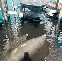 9612 Valencia Cove, Bradenton, FL 34210