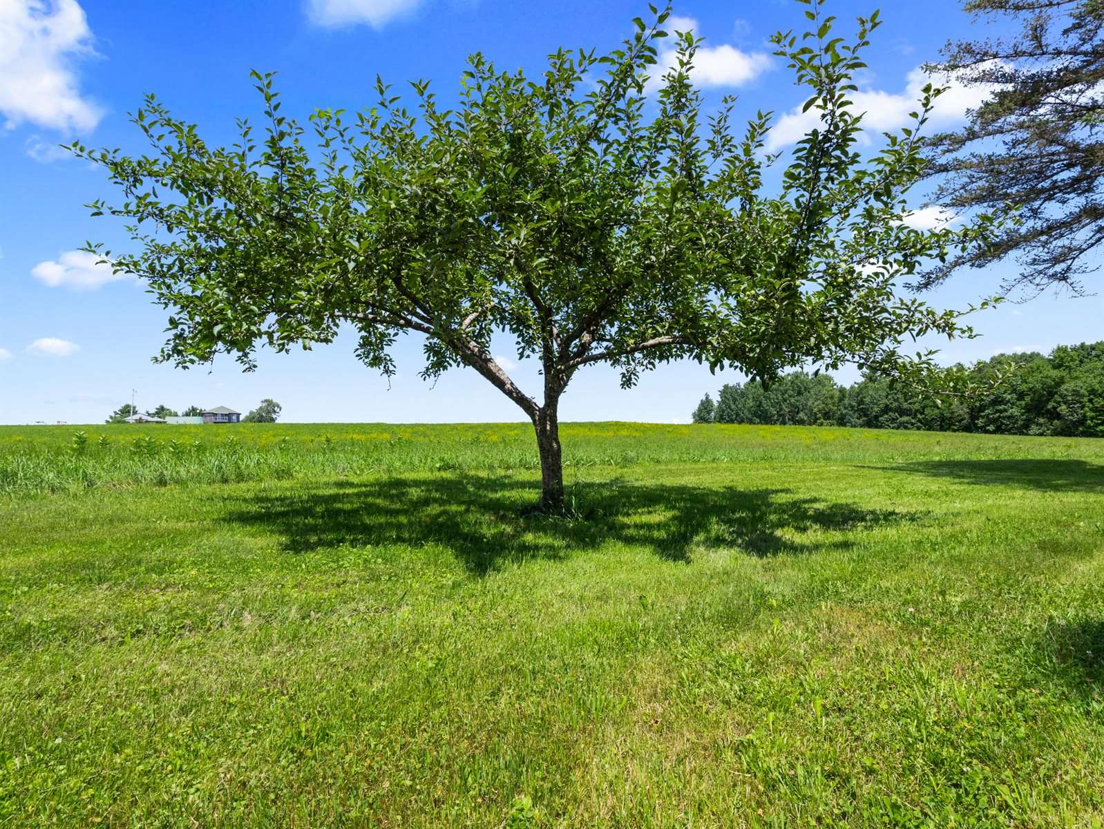 356 Range Road, Atkinson, ME 04426