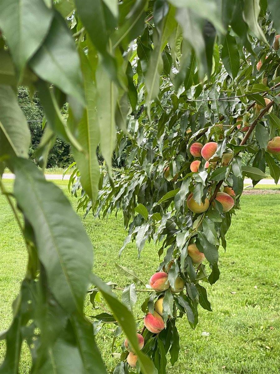 356 Range Road, Atkinson, ME 04426