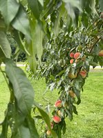 356 Range Road, Atkinson, ME 04426