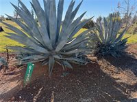 6130 Greenwood, Paradise, CA 95969