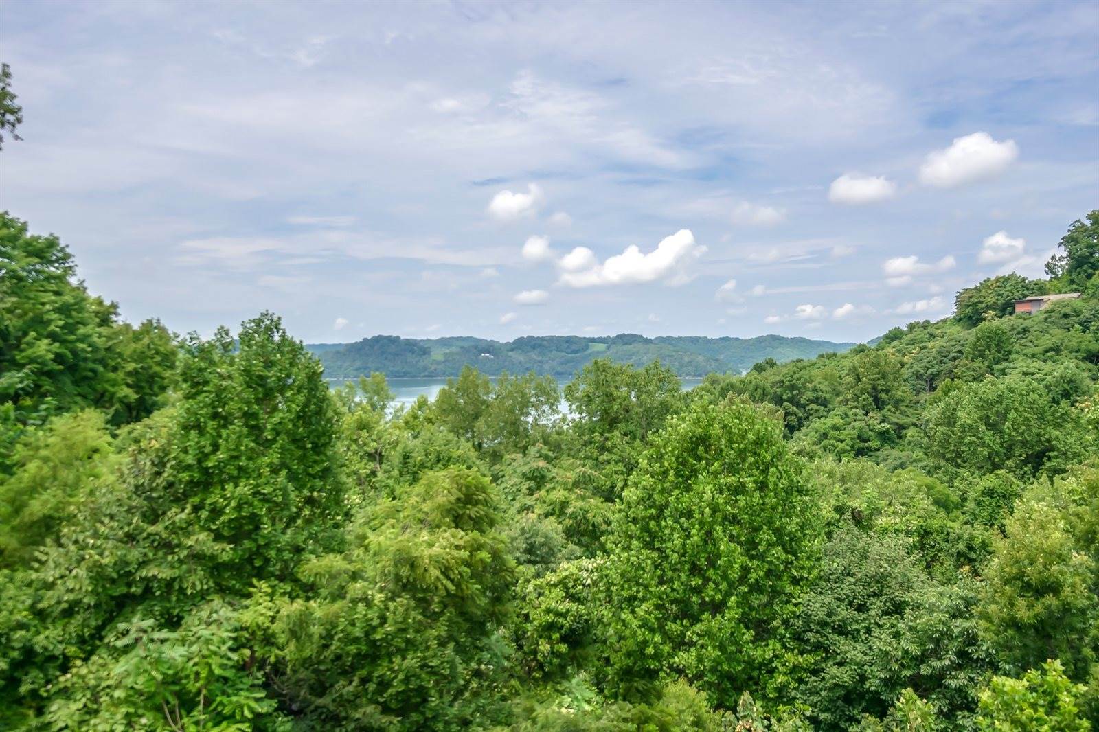320 Floating Mill Rd, Silver Point, TN 38582