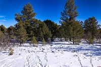 Lot 555 N Badger Trail, Ridgway, CO 81432