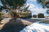 2806 Bluebell Court, Montrose, CO 81401