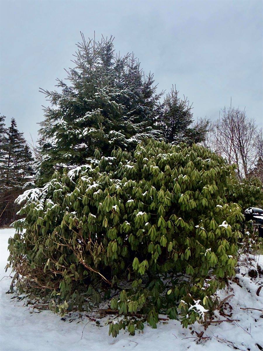 6 Case Drive, Lubec, ME 04652