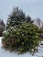 6 Case Drive, Lubec, ME 04652