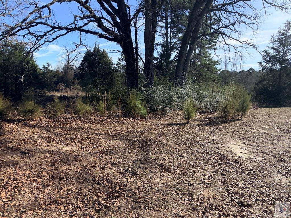 1791 Lassater, Jefferson, TX 75657