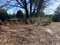 1791 Lassater, Jefferson, TX 75657