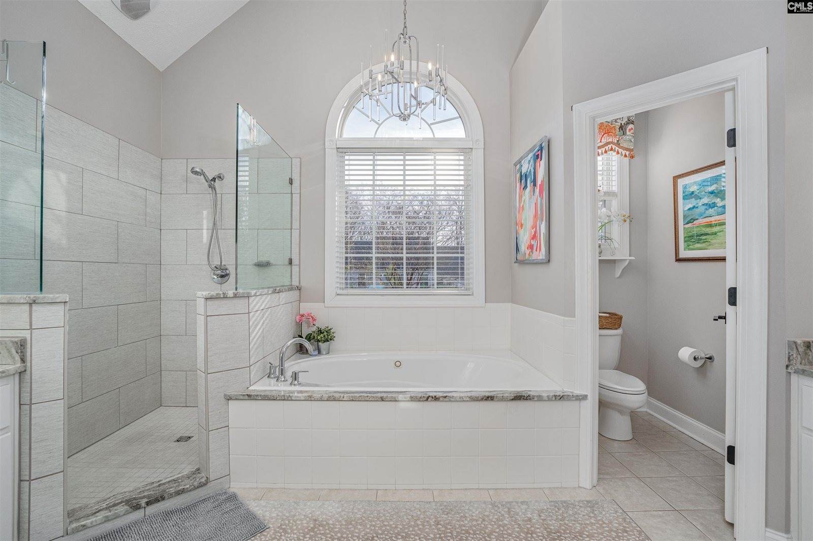 253 Vista Springs, Lexington, SC 29072