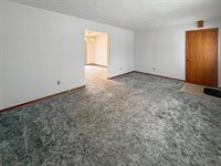 711 Virginia Avenue, Lena, IL 61048