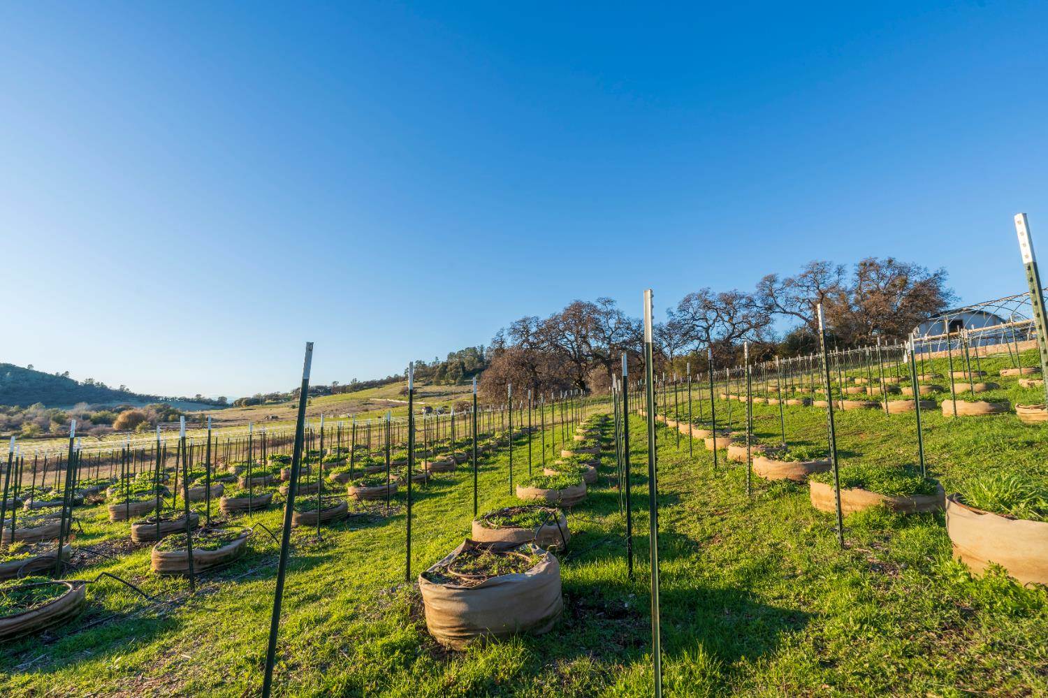 19728 Perimeter Road, Grass Valley, CA 95949