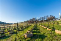 19728 Perimeter Road, Grass Valley, CA 95949