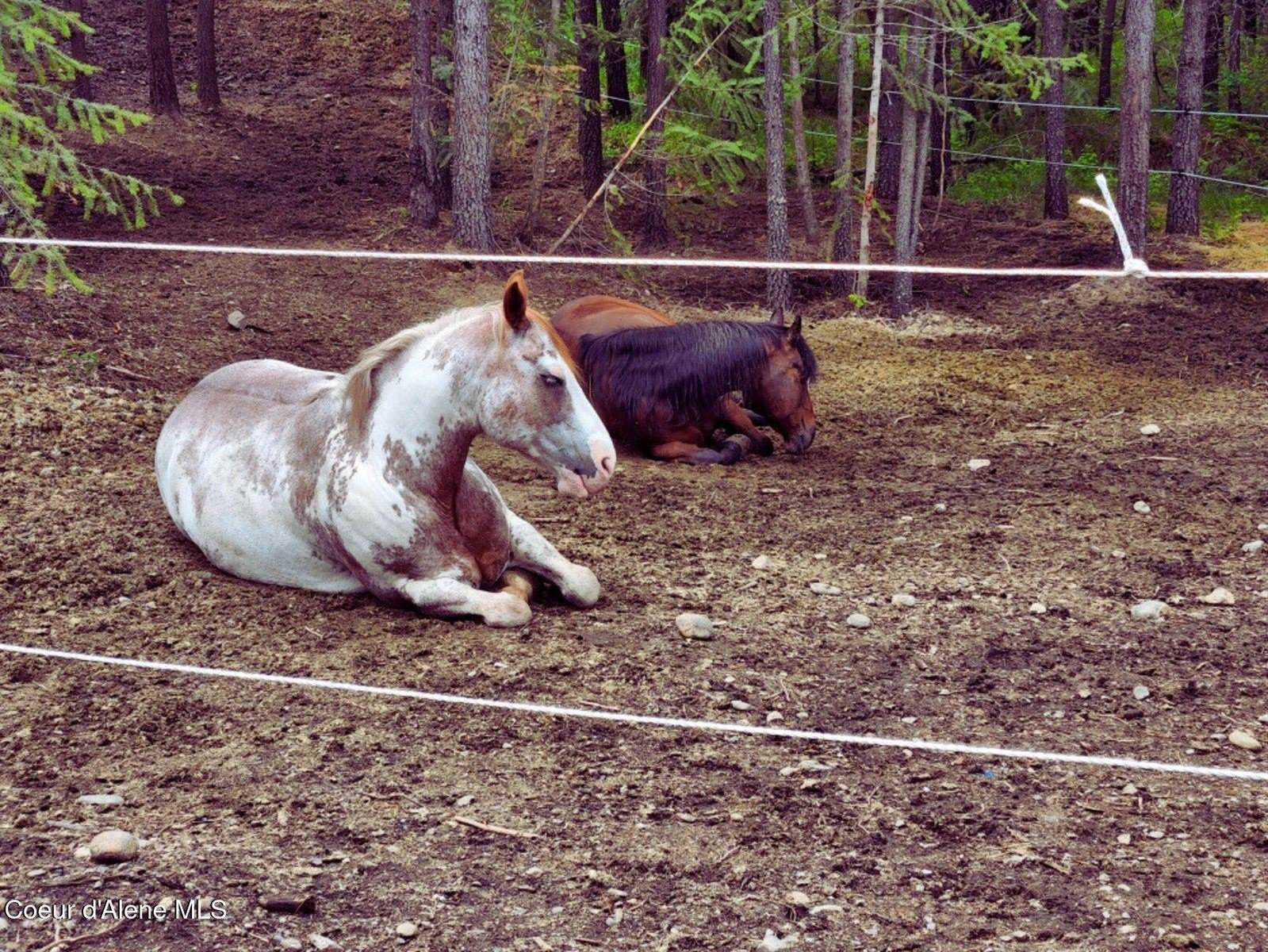 34517 North Hayden Dr, Spirit Lake, ID 83869