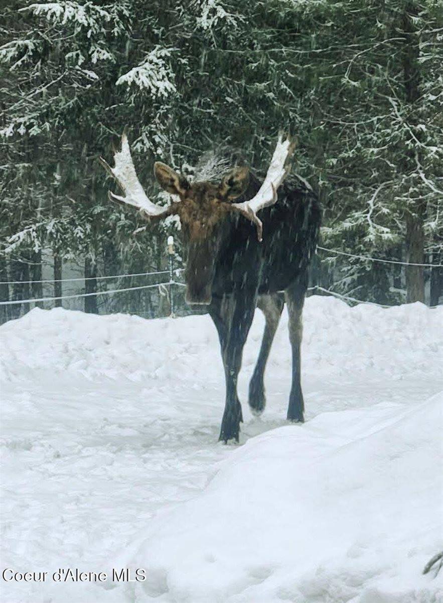 34517 North Hayden Dr, Spirit Lake, ID 83869