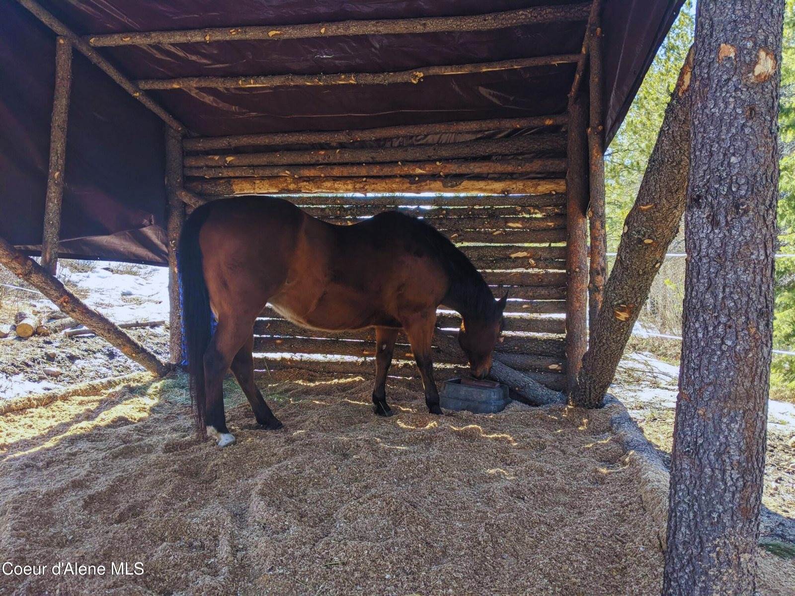 34517 North Hayden Dr, Spirit Lake, ID 83869