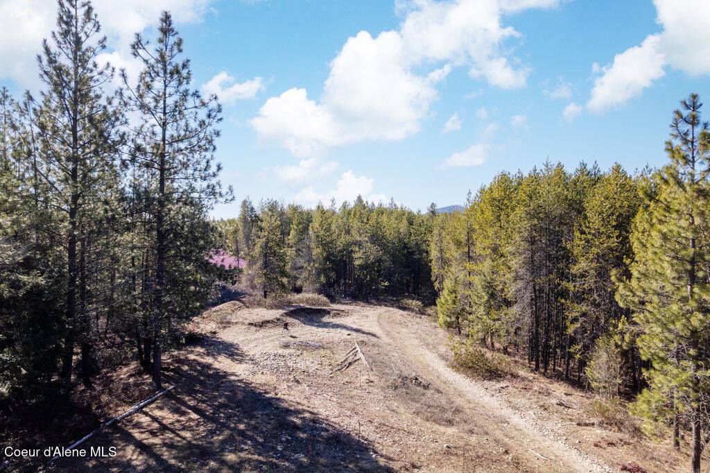 34517 North Hayden Dr, Spirit Lake, ID 83869
