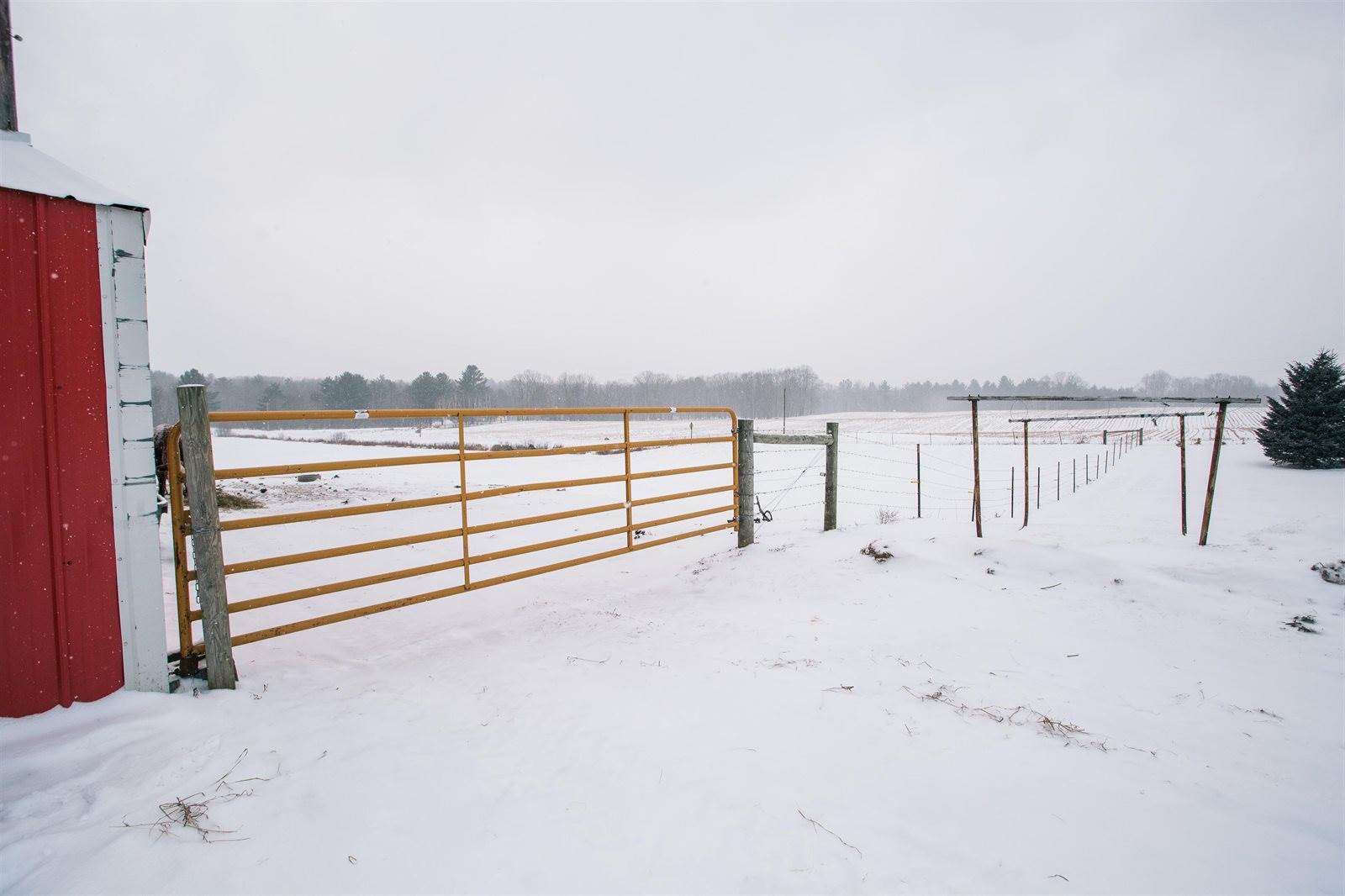 W9037 County Road I, Willard, WI 54493