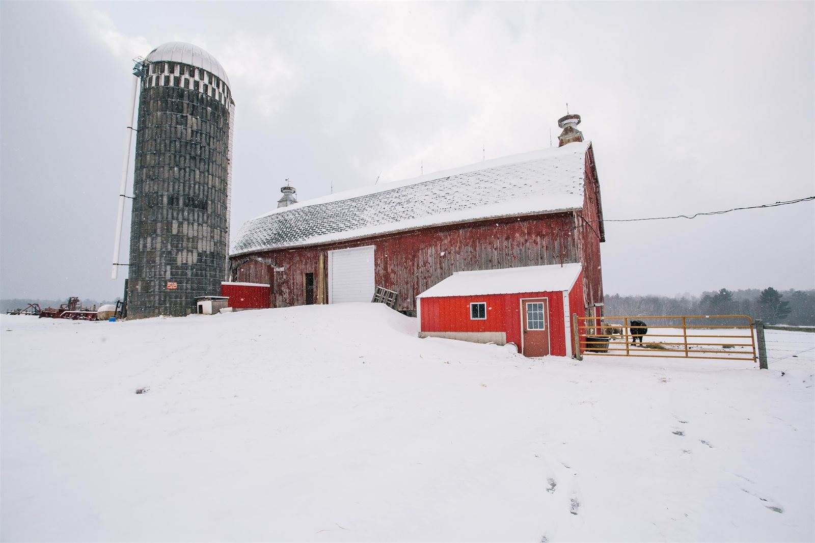 W9037 County Road I, Willard, WI 54493