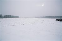 W9037 County Road I, Willard, WI 54493