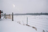 W9037 County Road I, Willard, WI 54493