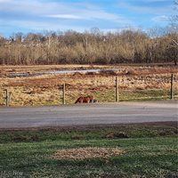 6487 Klass Road, Cambridge, OH 43725