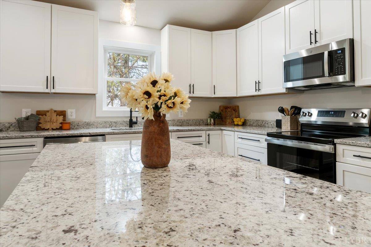 1025 Lindsay Rd, Forest, VA 24551