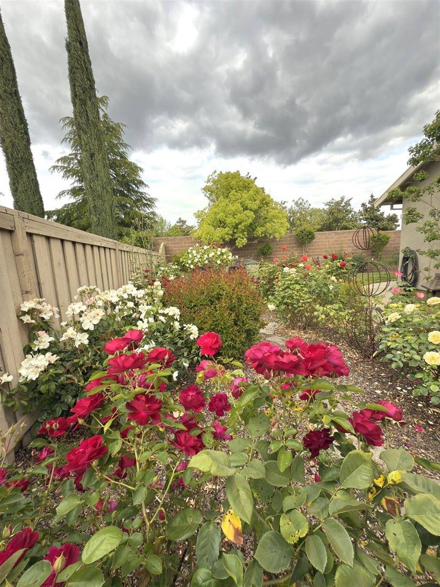 472 Violet Lane, Lincoln, CA 95648