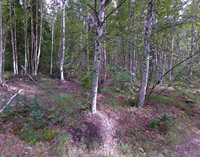 Nhn Reconstruction Road, Fairbanks, AK 99709