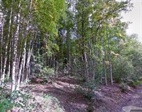 Nhn Reconstruction Road, Fairbanks, AK 99709