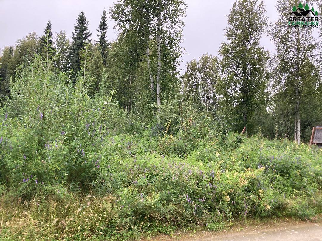 Nhn Sourdough Street, Fairbanks, AK 99712