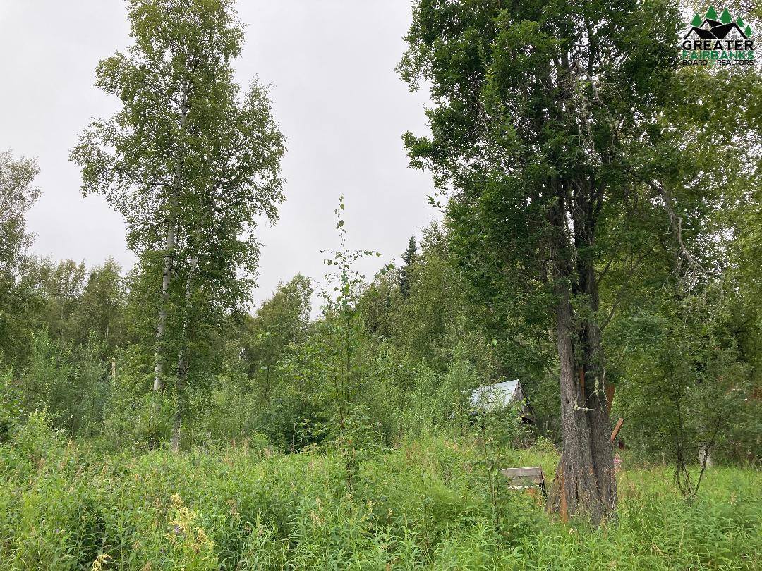 Nhn Sourdough Street, Fairbanks, AK 99712