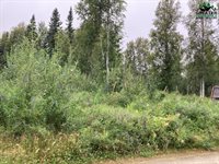 Nhn Sourdough Street, Fairbanks, AK 99712