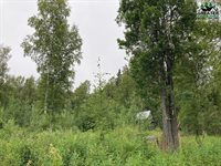 Nhn Sourdough Street, Fairbanks, AK 99712