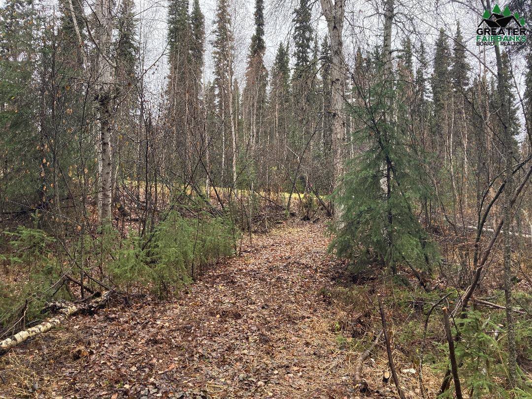 Nhn Harmonica Drive, Fairbanks, AK 99709