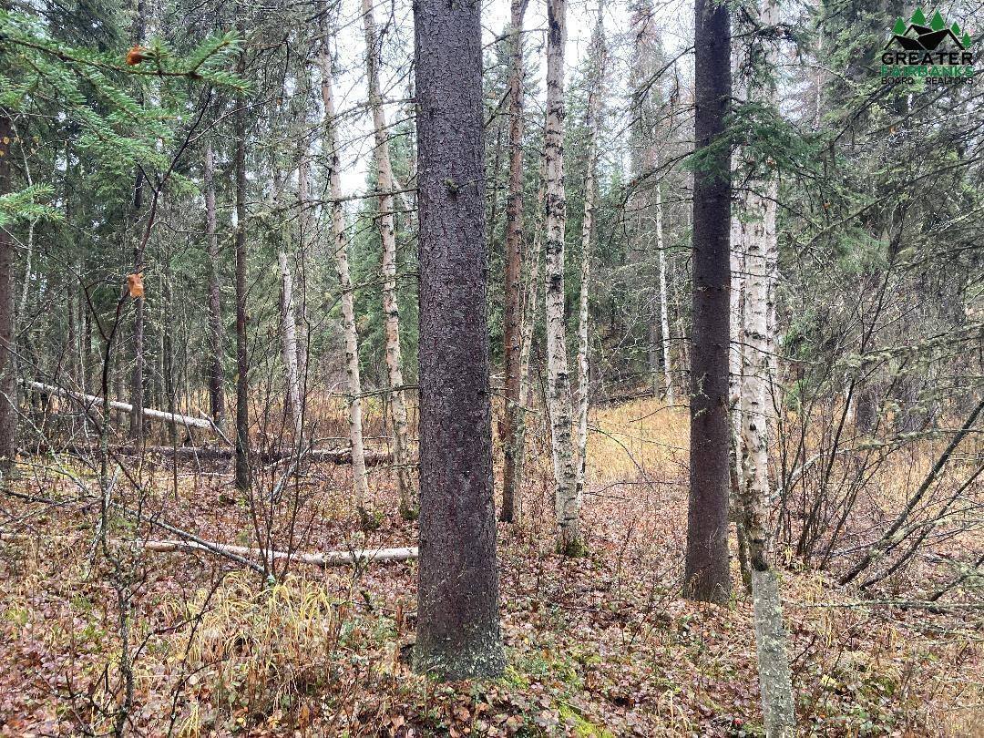 Nhn Harmonica Drive, Fairbanks, AK 99709