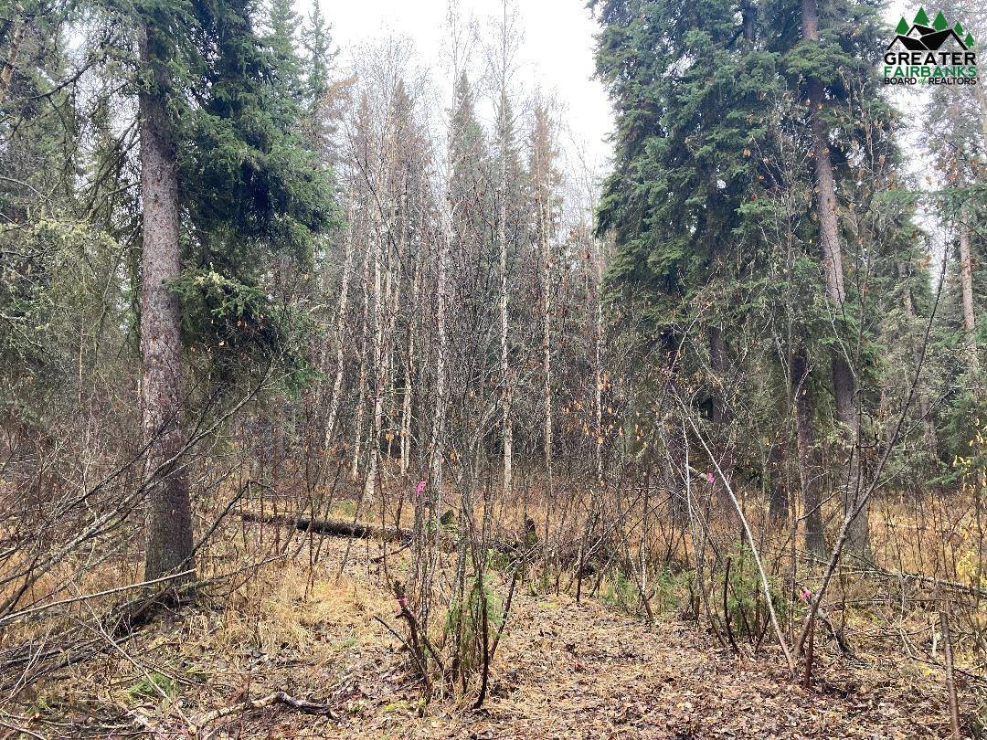 Nhn Harmonica Drive, Fairbanks, AK 99709