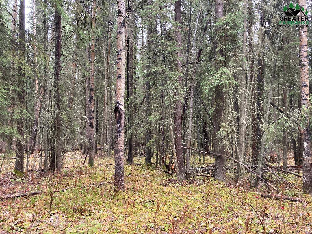 Nhn Harmonica Drive, Fairbanks, AK 99709