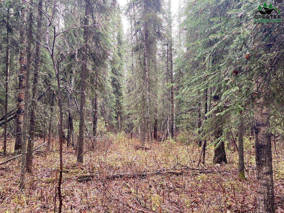 Nhn Harmonica Drive, Fairbanks, AK 99709