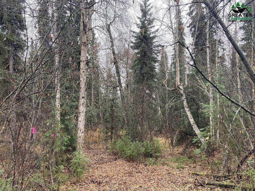 Nhn Harmonica Drive, Fairbanks, AK 99709