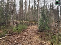 Nhn Harmonica Drive, Fairbanks, AK 99709