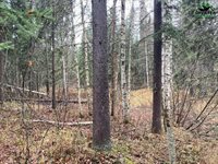 Nhn Harmonica Drive, Fairbanks, AK 99709