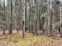 Nhn Harmonica Drive, Fairbanks, AK 99709