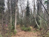 Nhn Harmonica Drive, Fairbanks, AK 99709