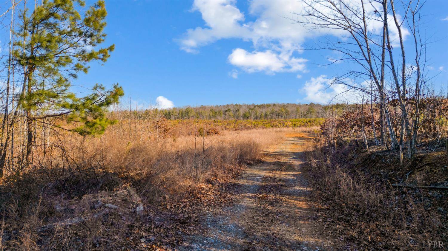 0 Evington Road, Evington, VA 24550