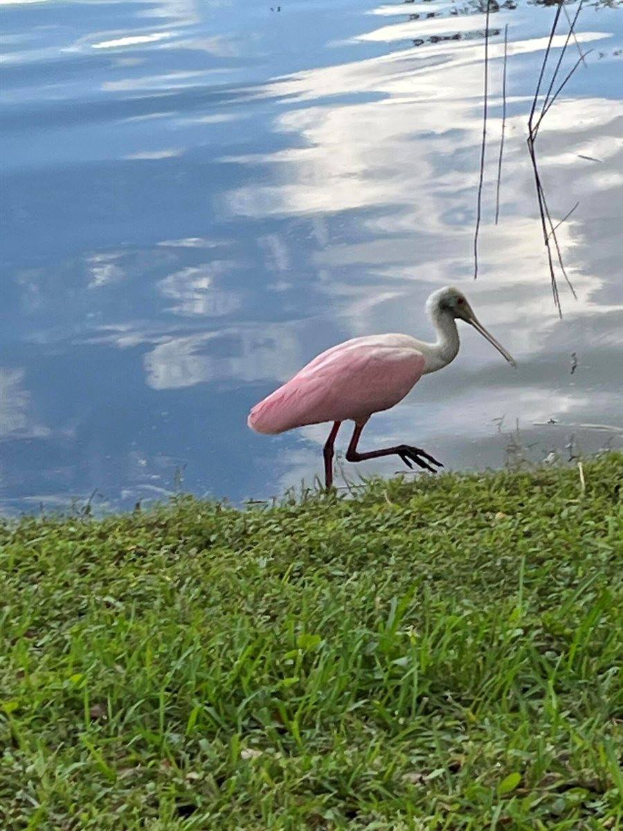 387 Kelsey Park Drive, Palm Beach Gardens, FL 33410