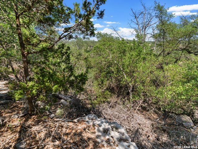 242 Ridge Pt, Spring Branch, TX 78070