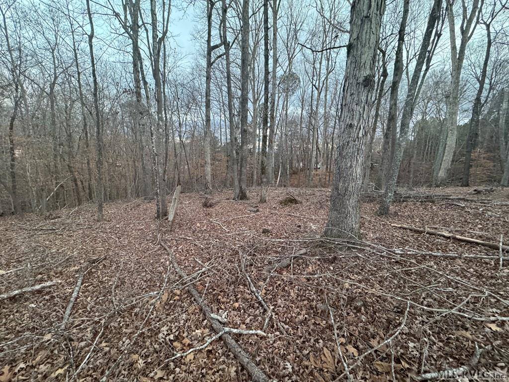 46 Hunters Creek Road, Littleton, NC 27850